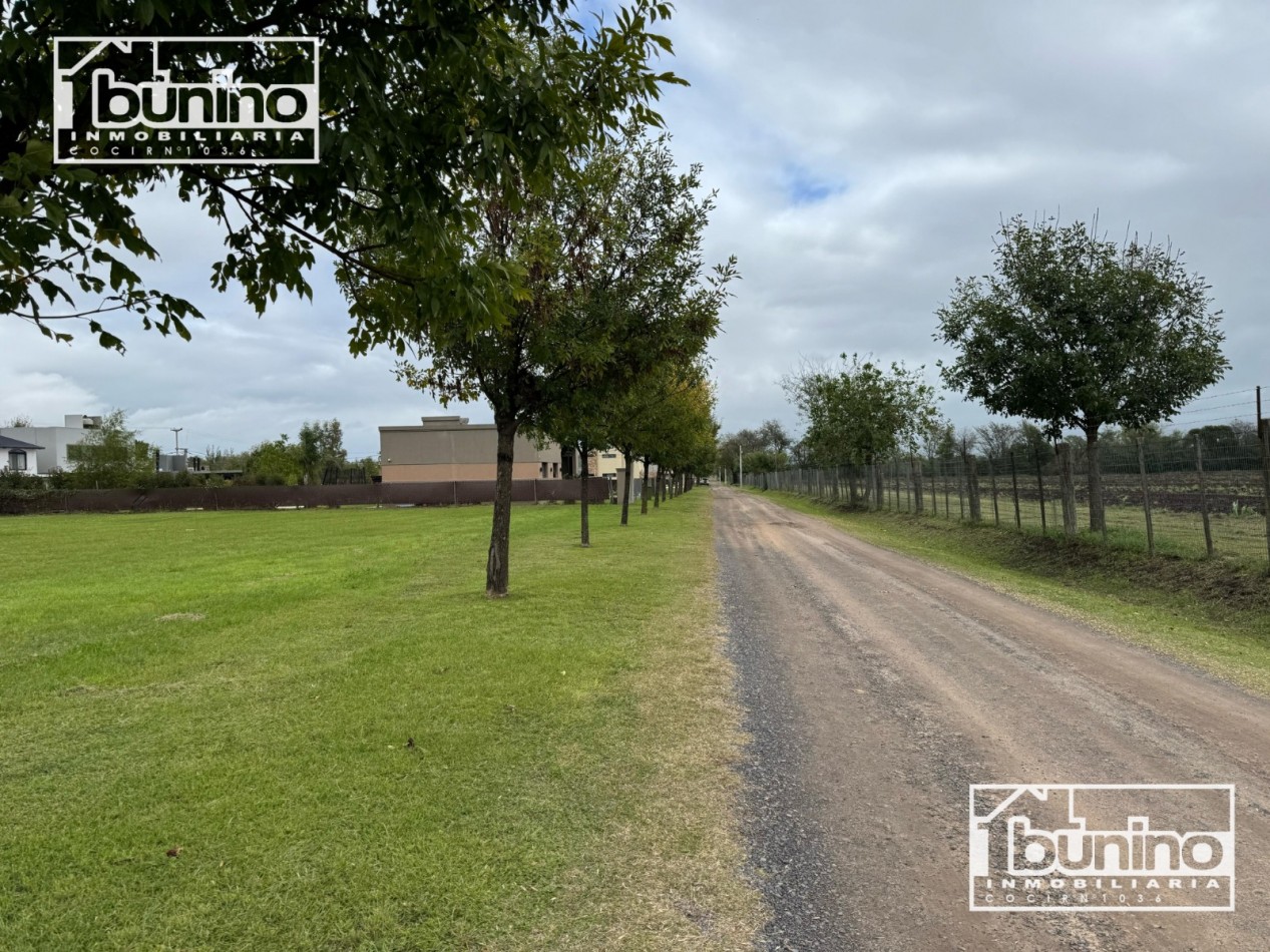 ¡OPORTUNIDAD! Terreno en venta en "Las Casuarinas" barrio cerrado- Ibarlucea