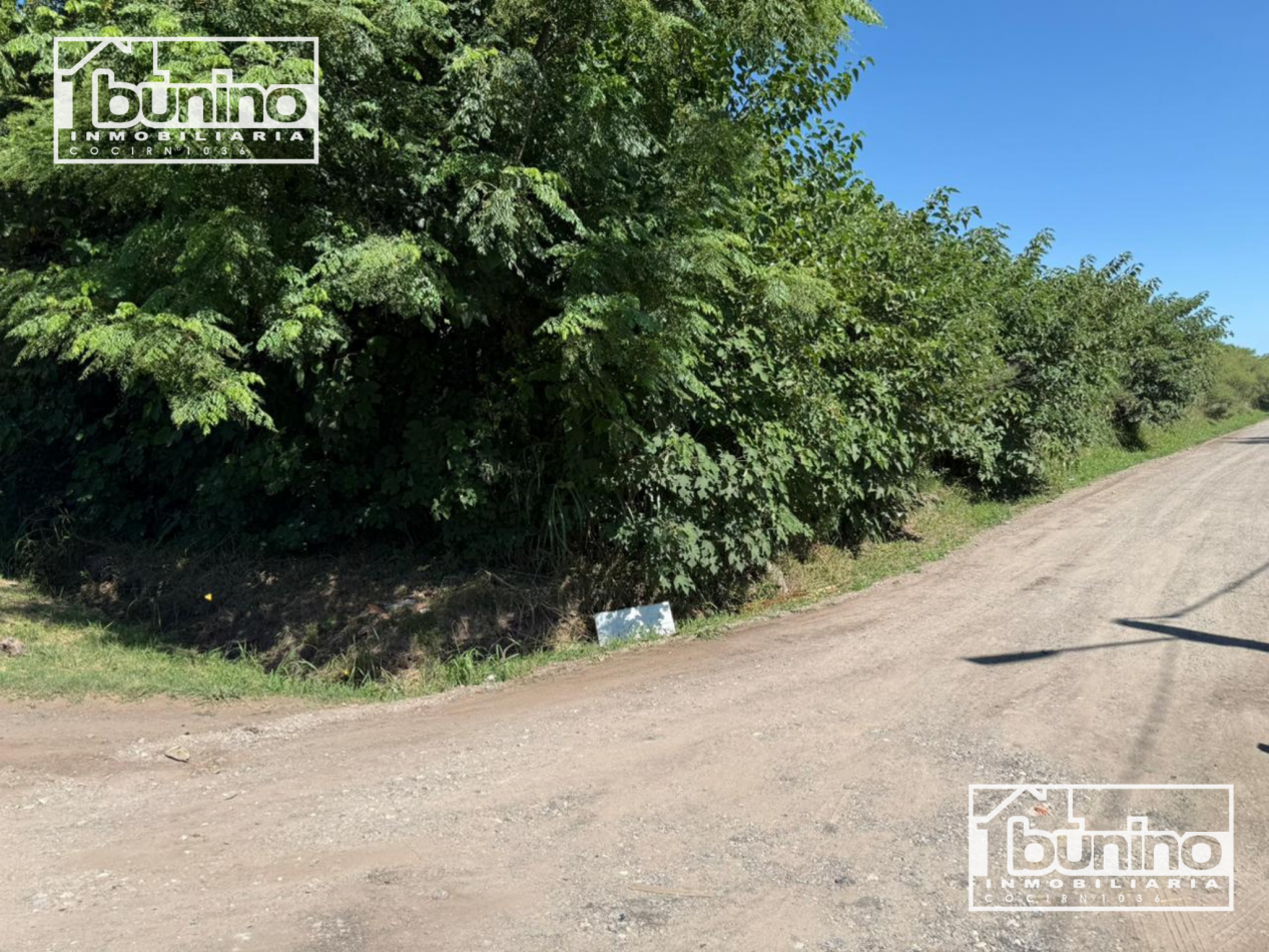Campo en venta en Ibarlucea